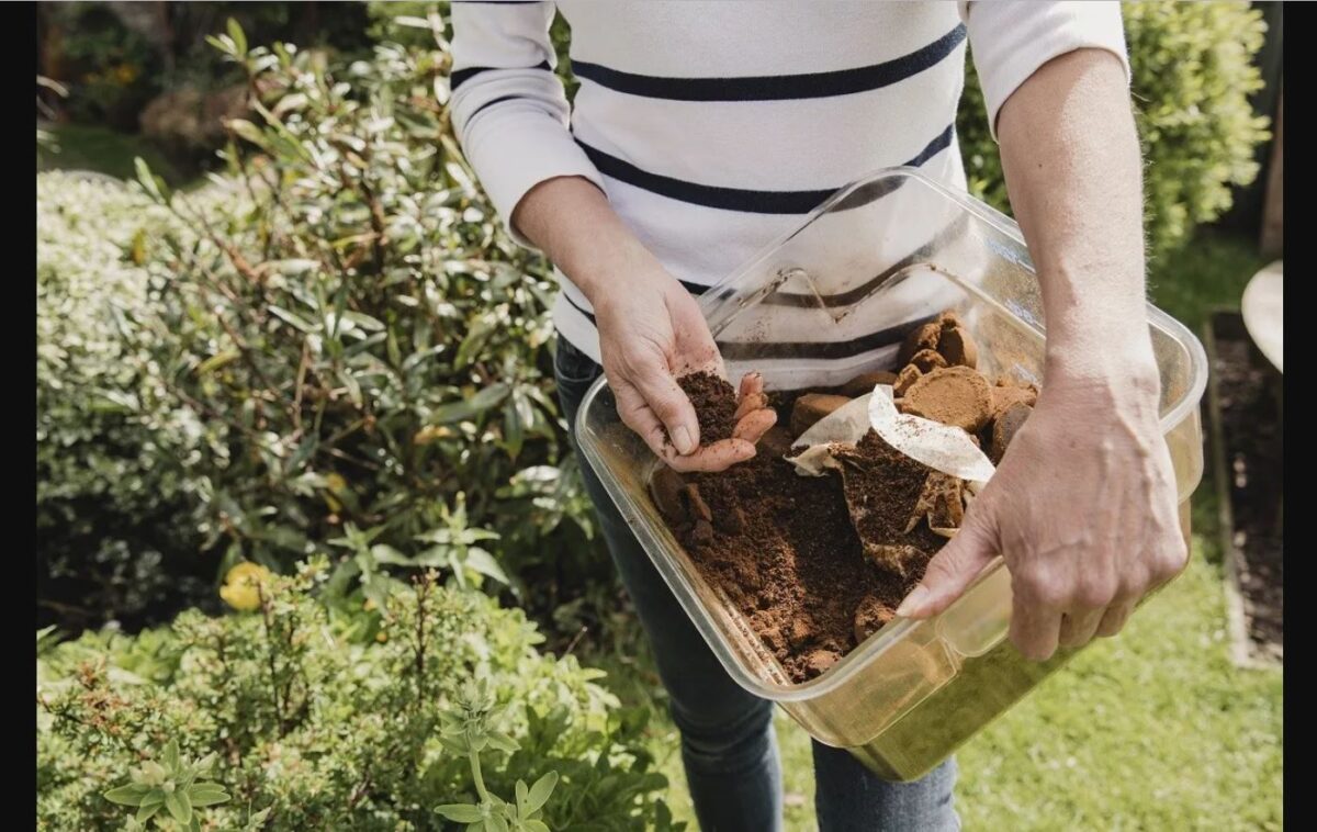 Απίστευτο! Ο λόγος που πρέπει να βάζεις λίγο καφέ στις γλάστρες