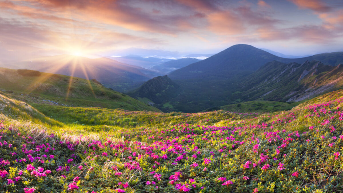 Οι μετεωρολόγοι προειδοποιούν ότι το καλοκαίρι του 2020 θα είναι πολύ θερμό