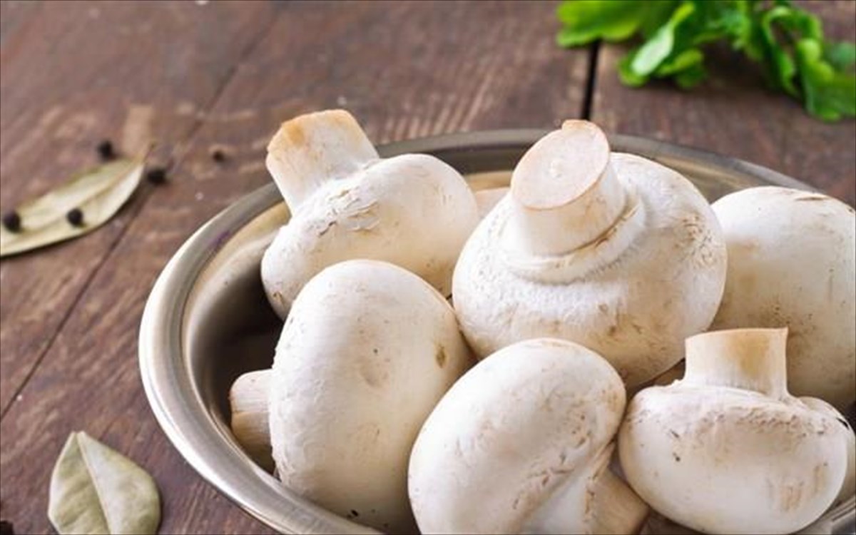 Καρκίνος |  Τα μανιτάρια μειώνουν τον κίνδυνο κατά 45%