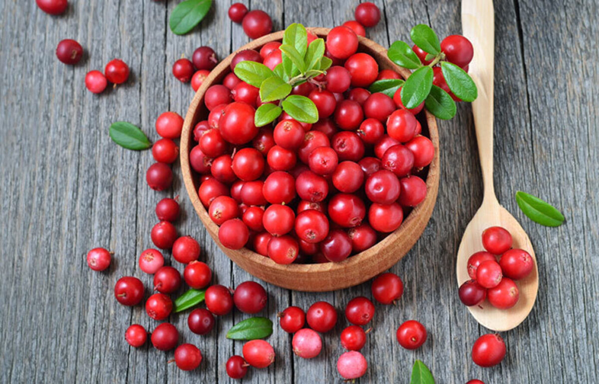 Lingonberries | Πώς μας βοηθούν να καταπολεμήσουμε το περιττό λίπος!
