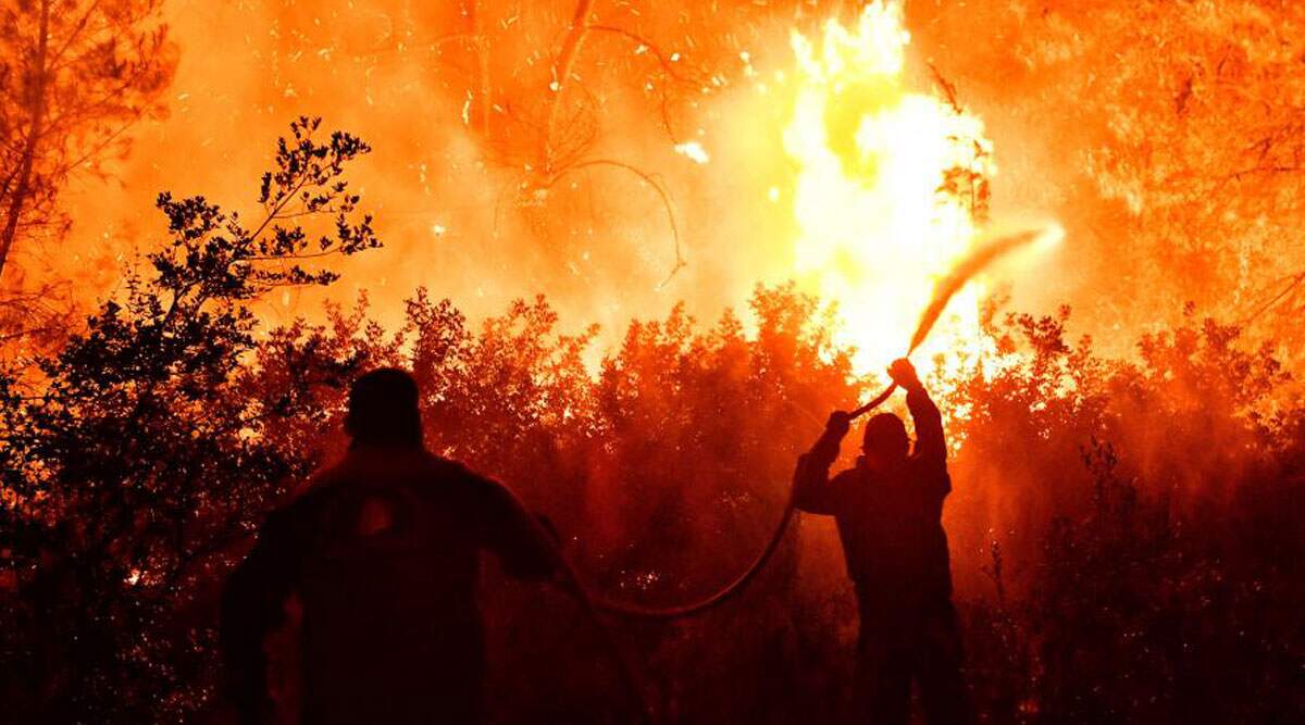 Στο μεταξύ, μας σκοτώνουν με μικρές δόσεις, πολύ ταχτικά, πολύ σιωπηλά, πολύ σοφά.