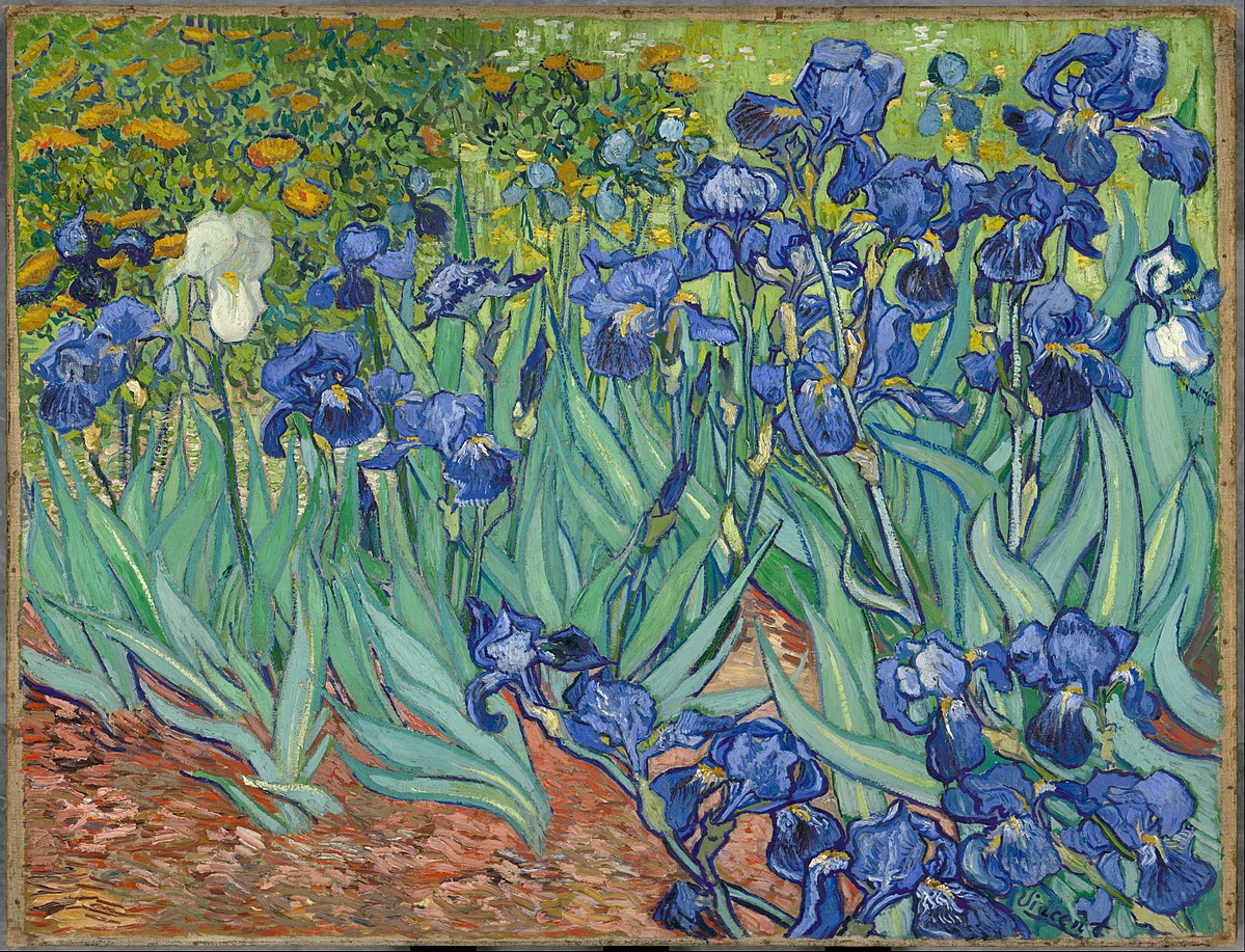 Ίριδες | Το πρώτο έργο του Van Gogh μέσα από το άσυλο, λίγο πριν το τέλος του