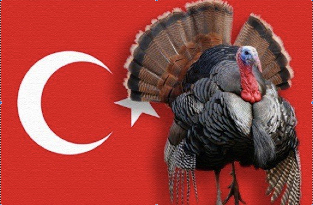 Ο Ερντογάν αλλάζει και το όνομα της Τουρκίας