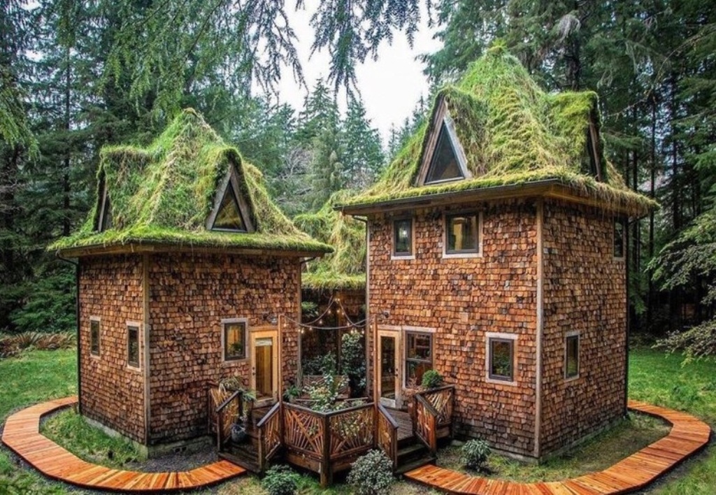 «The Castle Cabin», ένα ονειρικό καταφύγιο στο δάσος της βροχής