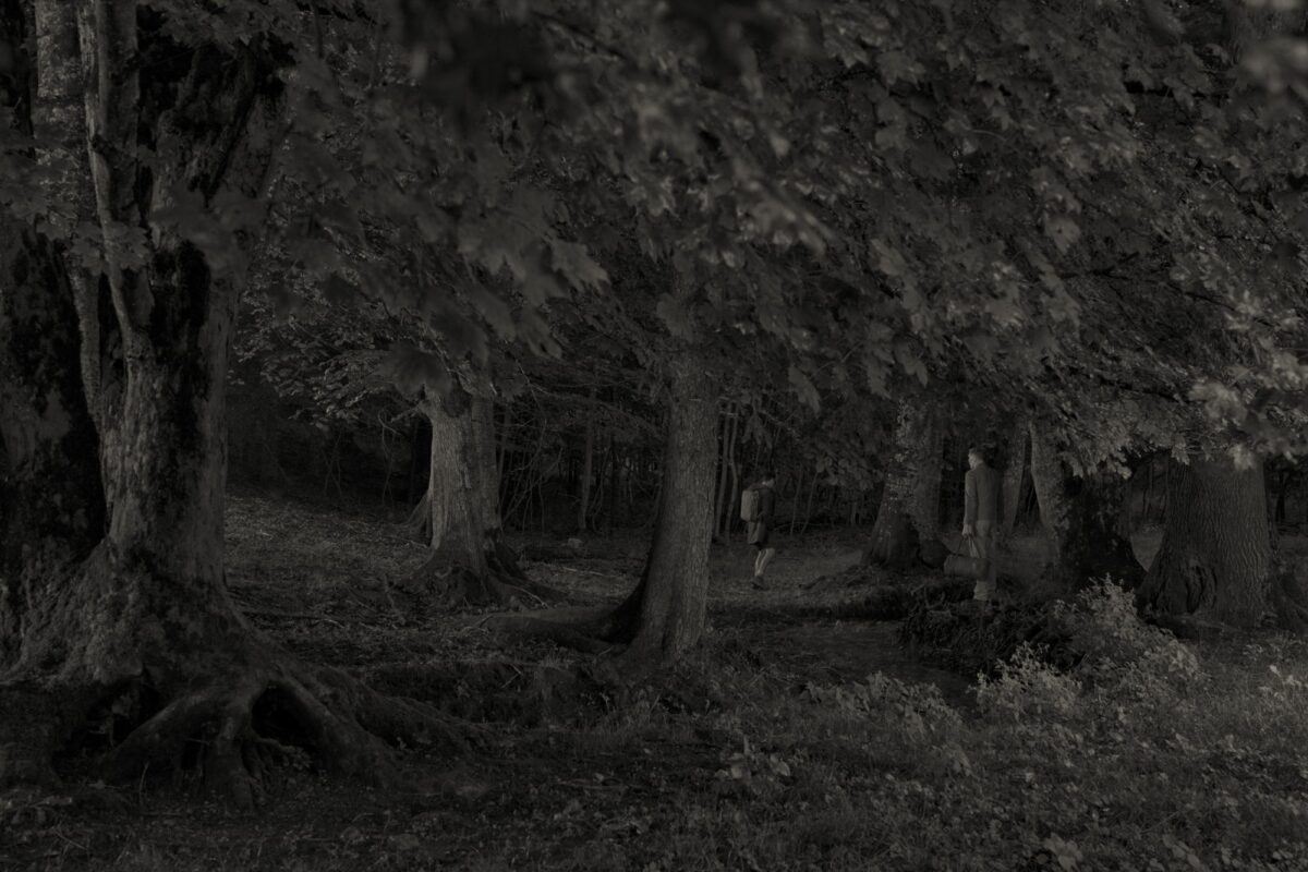 Στην Hamiltons του Λονδίνου η μοναδική συλλογή «Im Wald» του Erwin Olaf