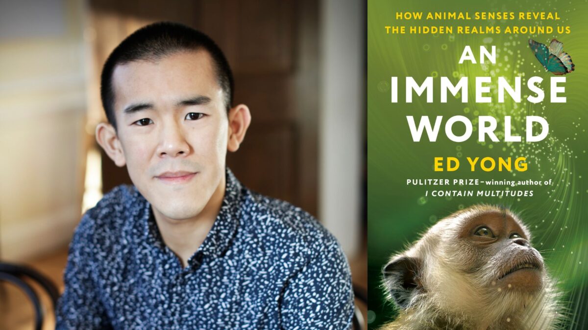 «An Immense World», ο βραβευμένος με Pulitzer Ed Yong εξηγεί έναν μαγικό κόσμο