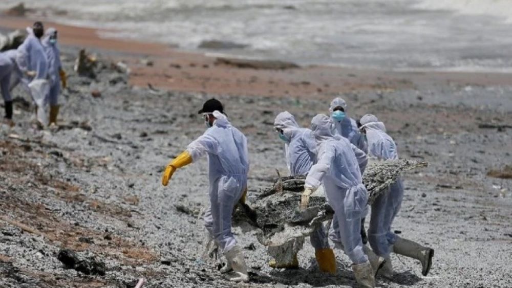 Επιστρατεύτηκαν ψάρια ρομπότ στη μάχη κατά των μικροπλαστικών στις θάλασσες