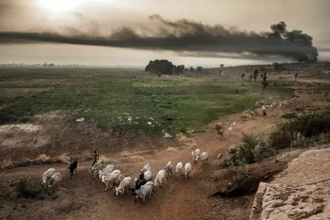 ΤΙΜΕ | Η κλιματική κρίση οδηγεί τον εθνικισμό των τροφίμων & αλλάζει για πάντα το παγκόσμιο εμπόριο