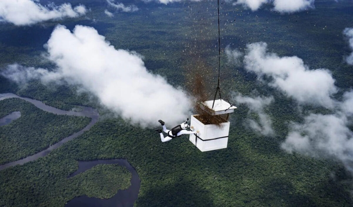 100 εκατομμύρια σπόροι δέντρων έπεσαν από τον ουρανό στον Αμαζόνιο
