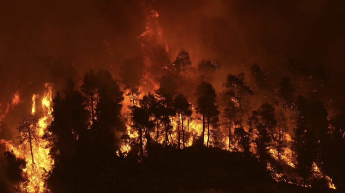 Ο Χάρτης του καμένου δάσους της Δαδιάς μέχρι και χθες