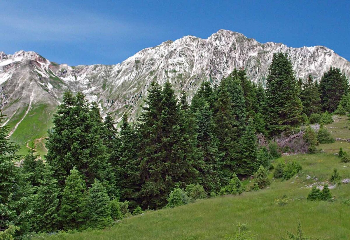 Τα Άγραφα εντάσσονται σε καθεστώς απόλυτης προστασίας