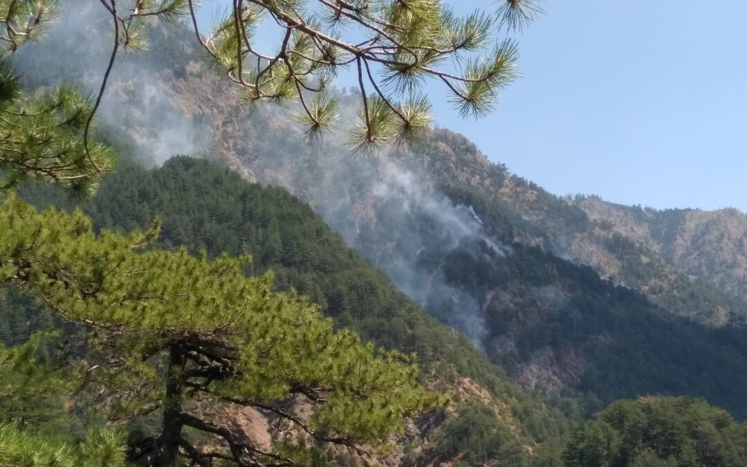 21 πυροσβέστες προσπαθούν να σβήσουν την φωτιά στην Βάλια Κάλντα !!!