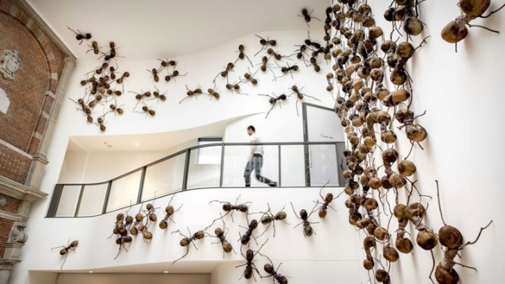 Clara and Crawly Creatures, μια μοναδική έκθεση τέχνης
