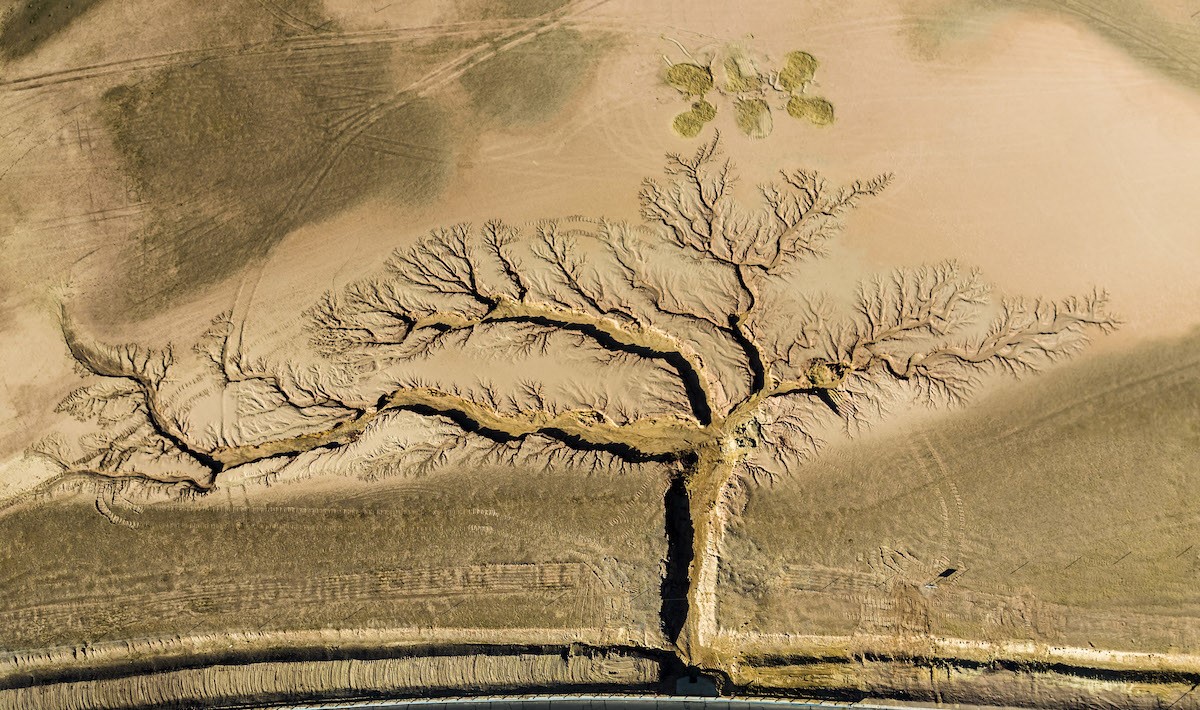 Οι 21 εκπληκτικές φωτογραφίες του Nature Conservancy Photo Contest 2022