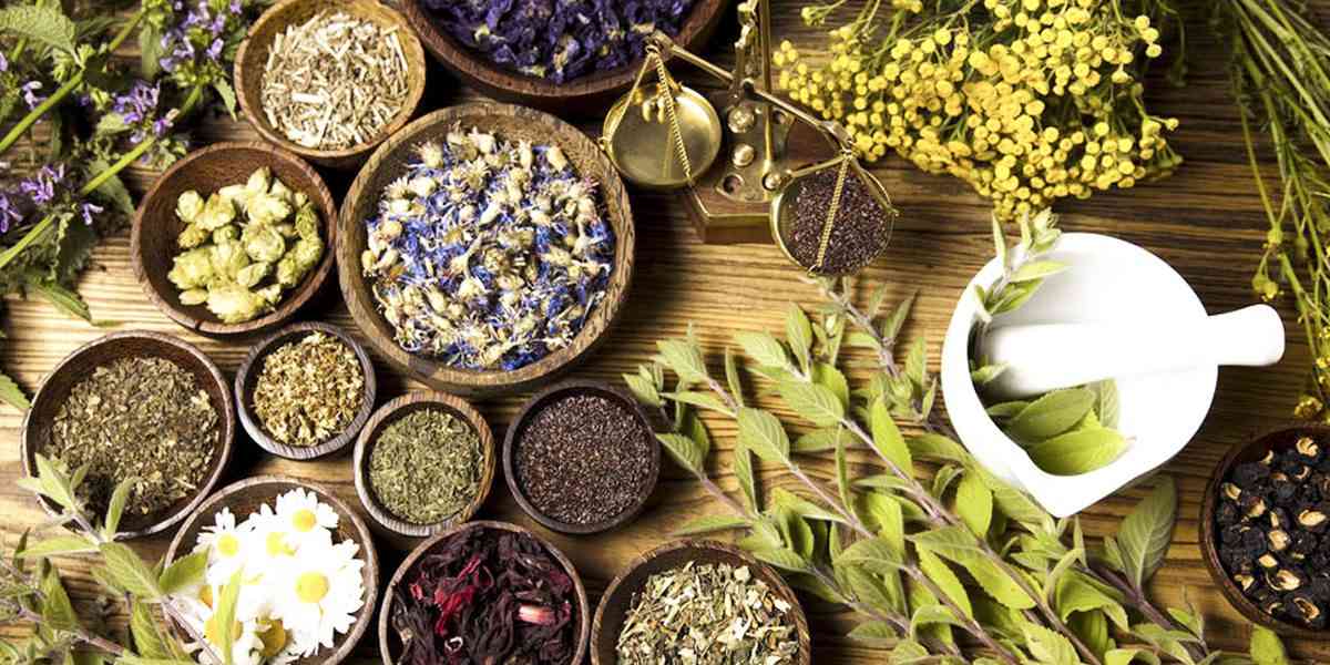Βοτανοθεραπεία: H πανάρχαια μέθοδος που αξίζει την προσοχή όλων