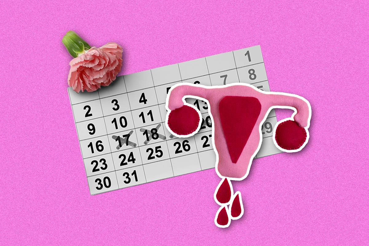 Φεστιβάλ Περιόδου