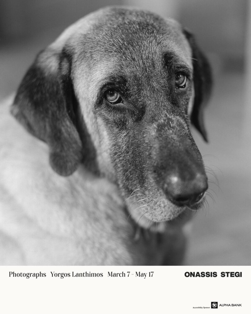 Έκθεση Λάνθιμου αφίσα