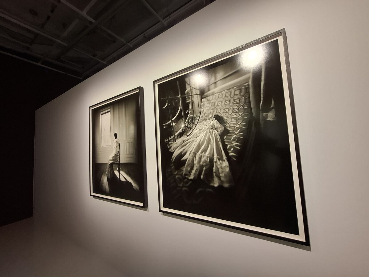 Γιώργος Λάνθιμος Στέγη