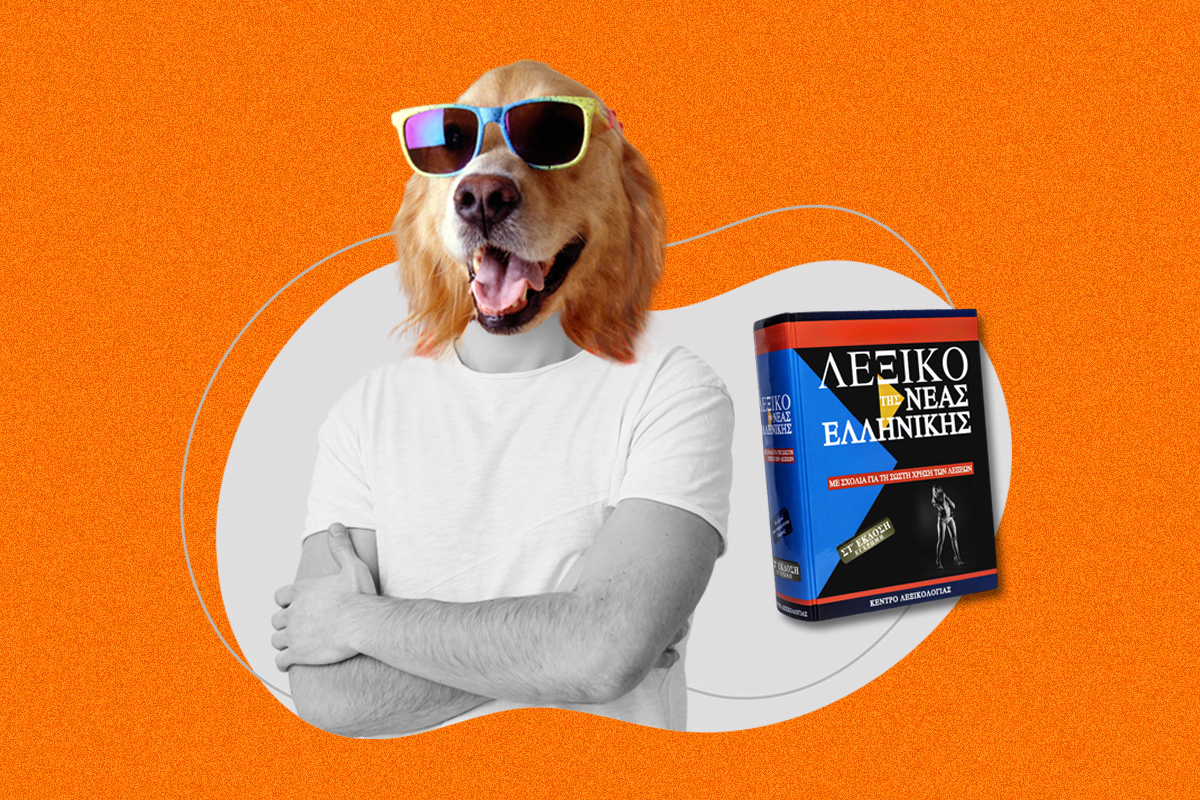 O νέος γκομενότυπος είναι το Golden Retriever Boyfriend