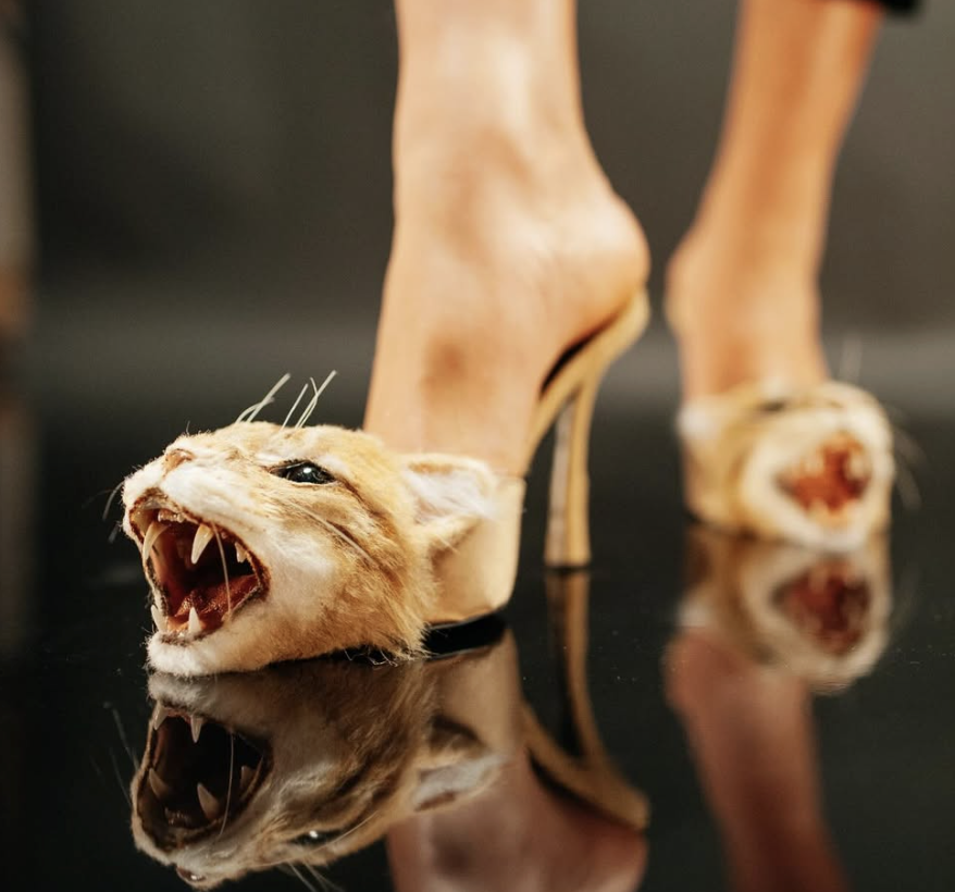 O οίκος Schiaparelli δημιούργησε τα πιο cringe kitten heels στην ιστορία της μόδας