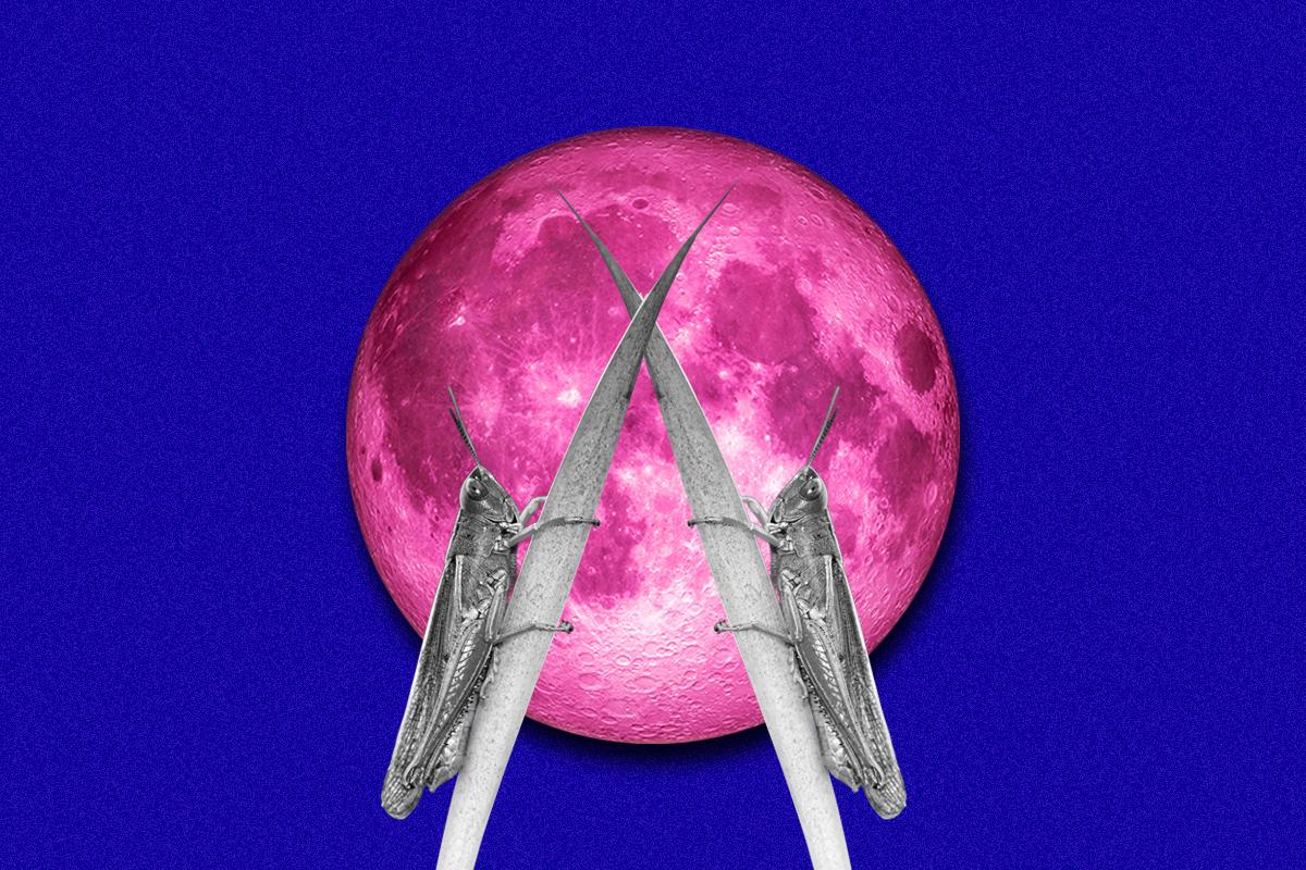 Παϊσιος, Νοστράδαμος, εσχατολογία και «Κύριε ηνομίσαμε, αμαρτίσαμε, ελέησον»: Από θεωρίες συνωμοσίας πάμε καλά