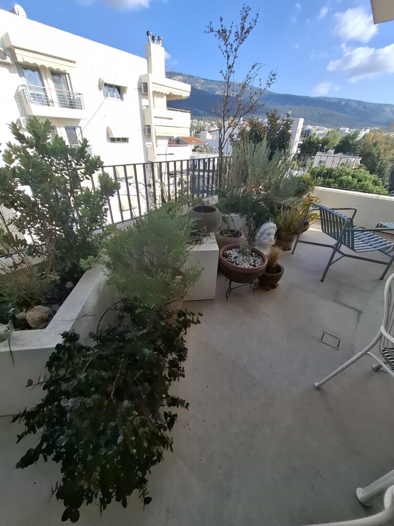 community house open house athens