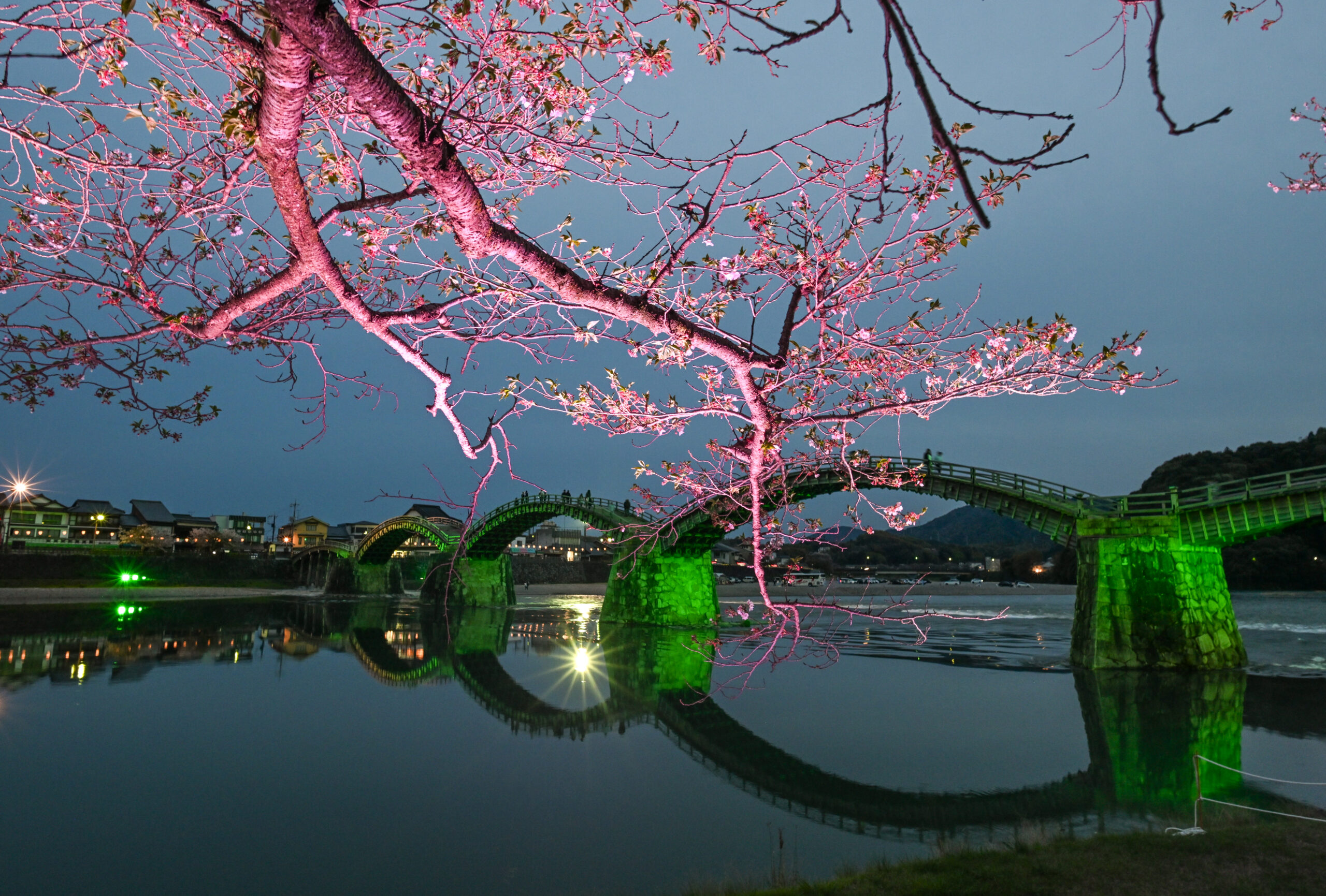 Ιαπωνία κερασιές