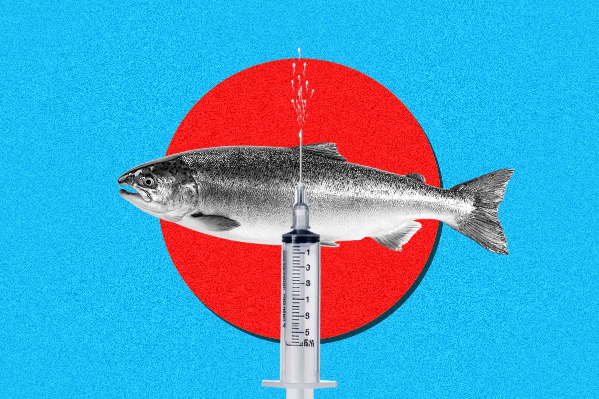 μεσοθεραπεία