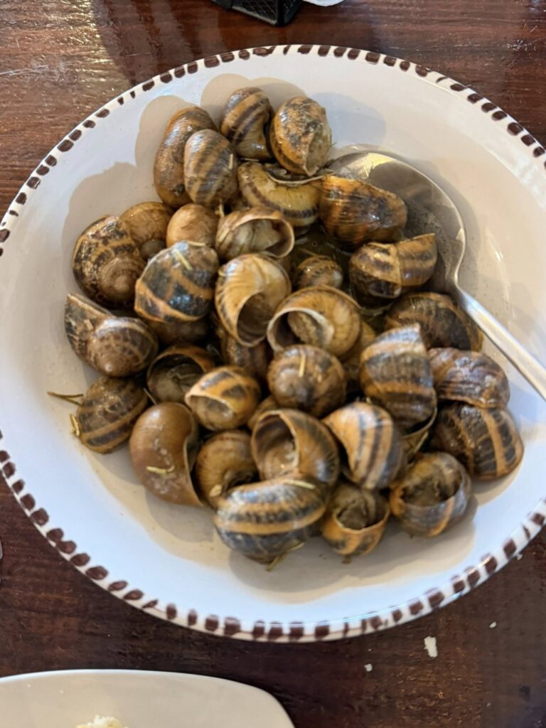 ντελόγο