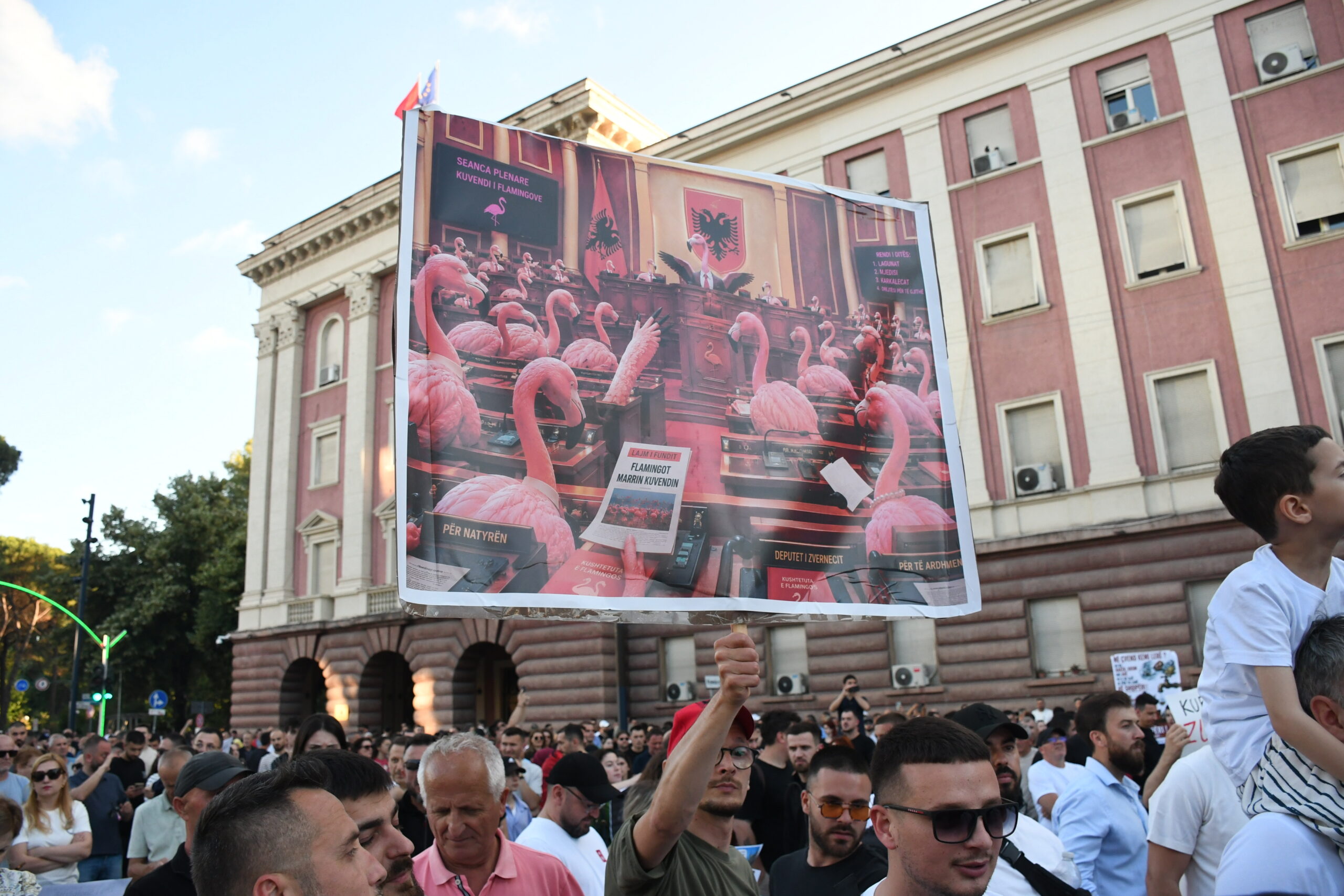 ροζ φλαμίνγκο αλβανία