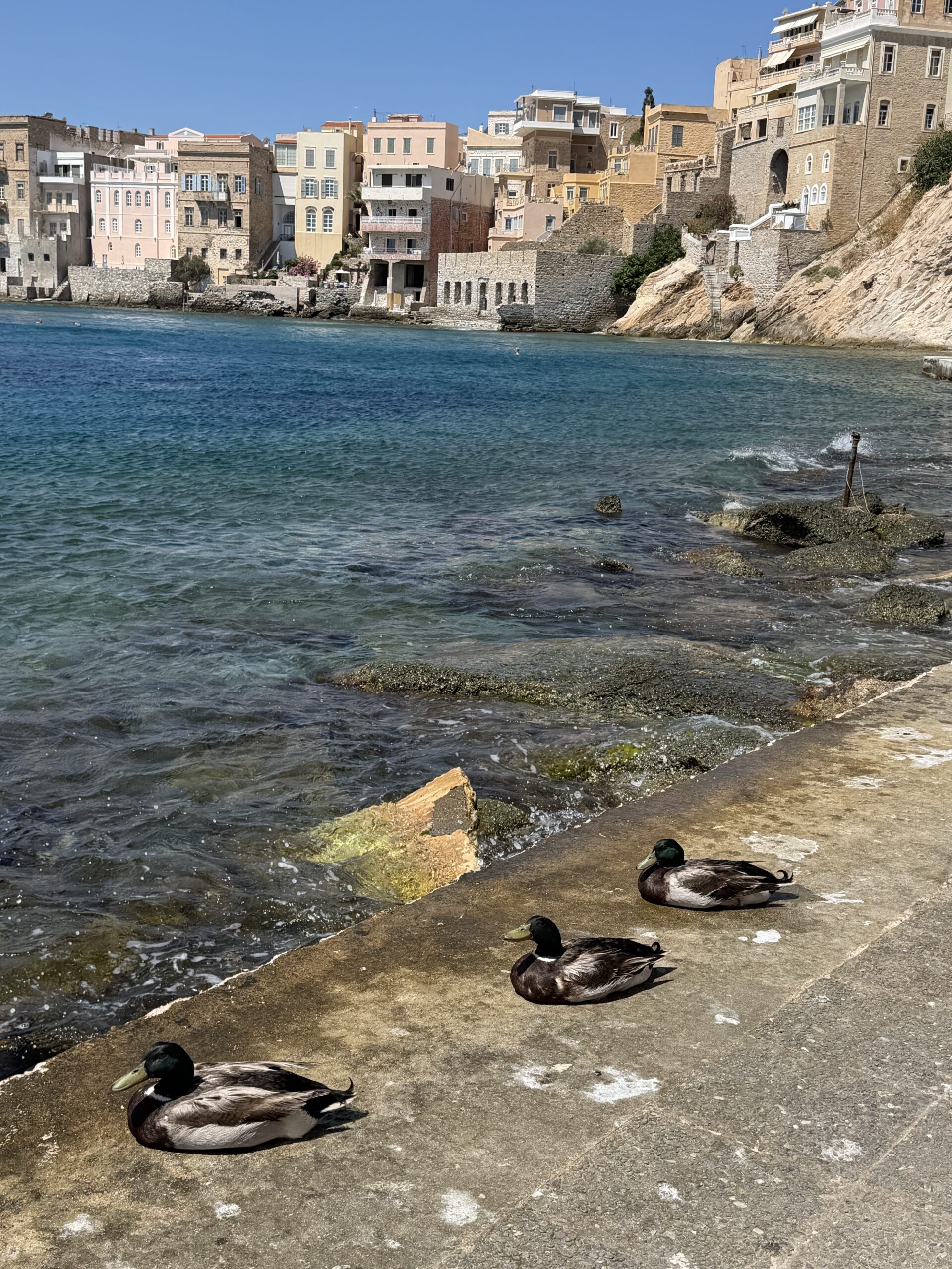 Βαπόρια Σύρος