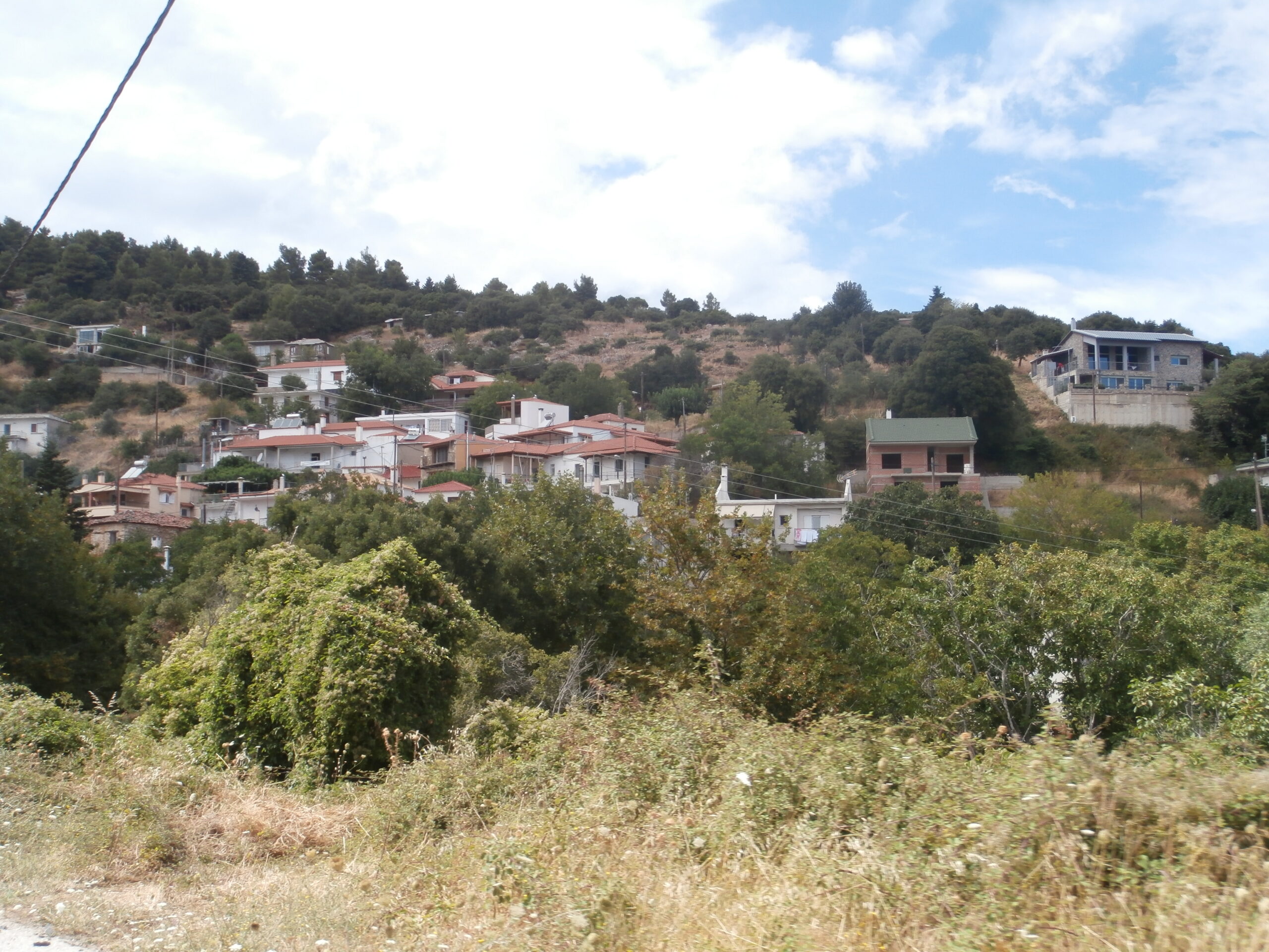 σέττα ευβοίας