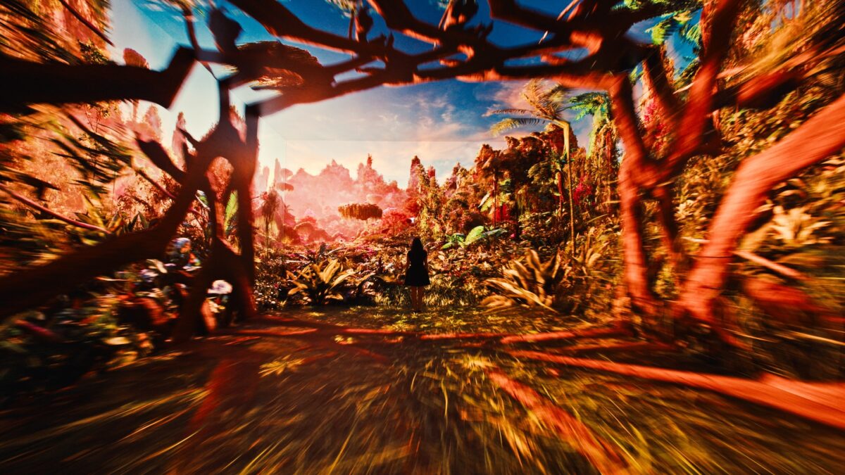 Dataland